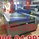 may-in-uv-phang-renau-1610 (6)