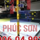 may-in-uv-phang-renau-1610 (7)