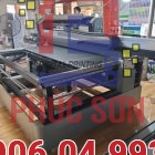 may-in-uv-phang-renau-1610 (9)